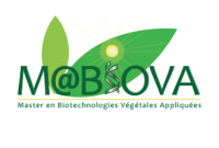 Le Master Biotechnologies Végétales Appliquées à l’amélioration des plantes dispensé dans 3 grandes Universités au Maroc